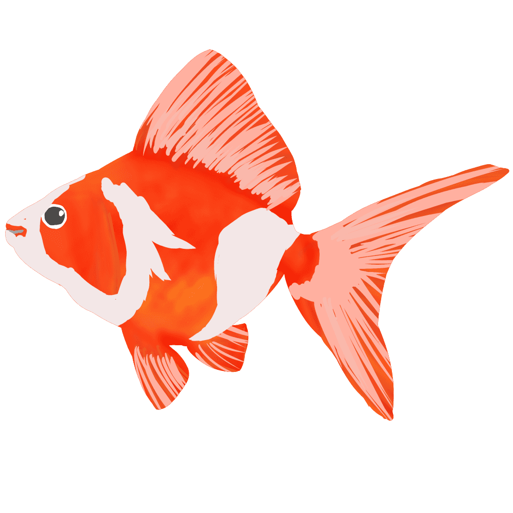 金魚 イラスト 簡単 かわいい詳細 9位