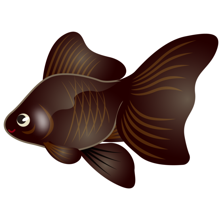 金魚 フリー 素材詳細 10位