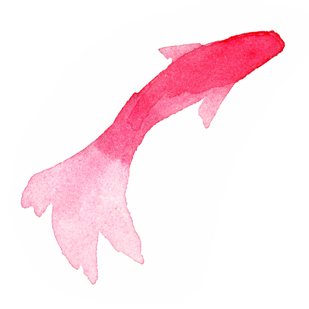 金魚 画像詳細 9位