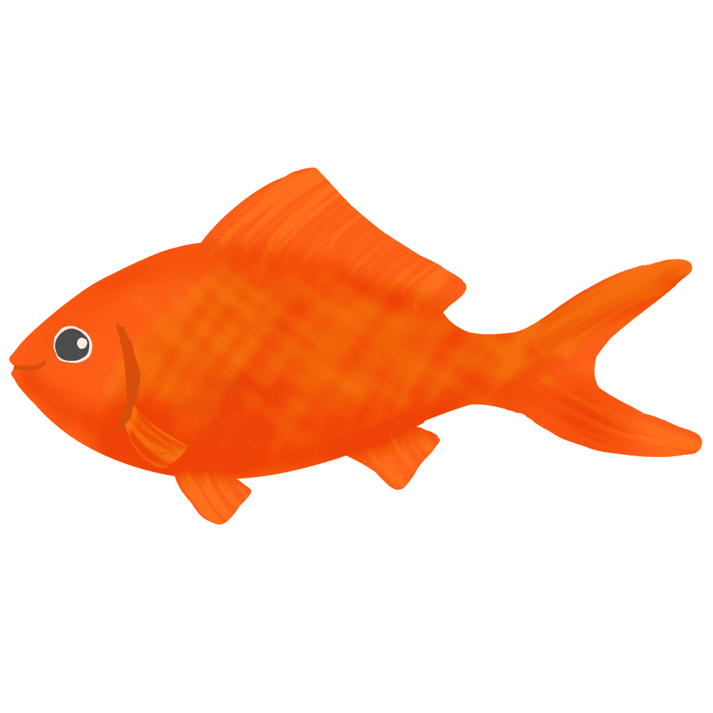 金魚 画像詳細 11位