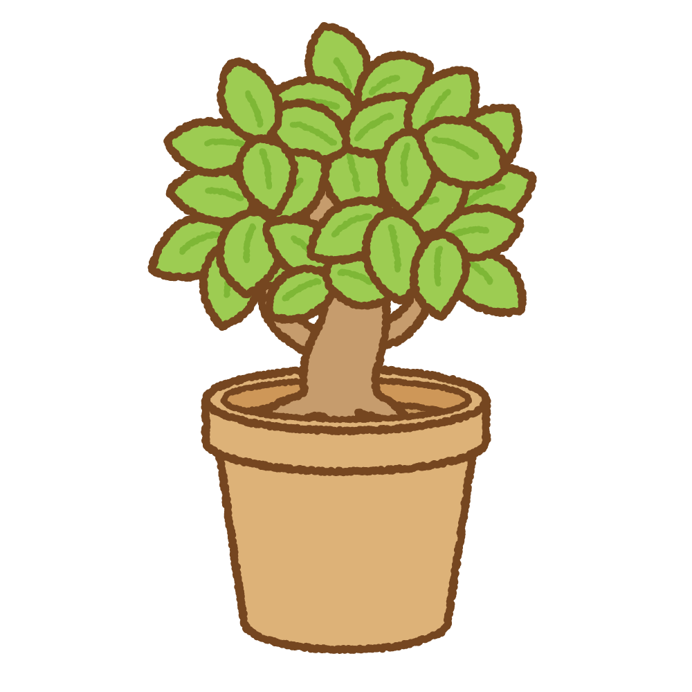鉢植え イラスト詳細 3位