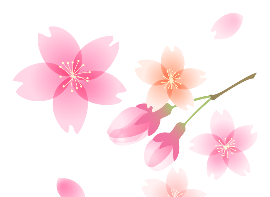 開花 イラスト詳細 7位