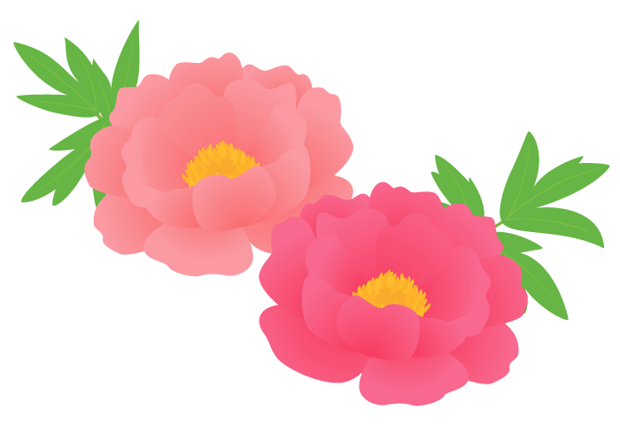 開花 イラスト詳細 9位