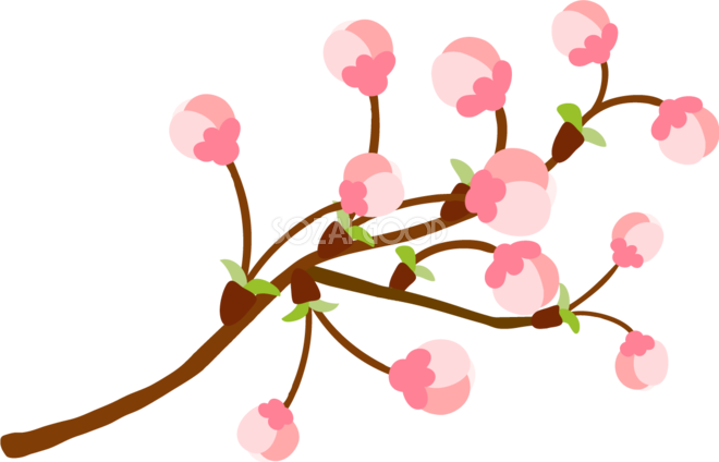 開花 イラスト詳細 2位