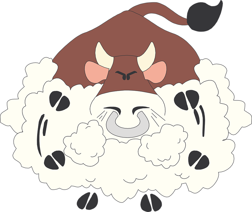 闘牛 イラスト詳細 2位
