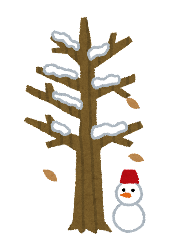 雪 の 木 - KibrisPDR