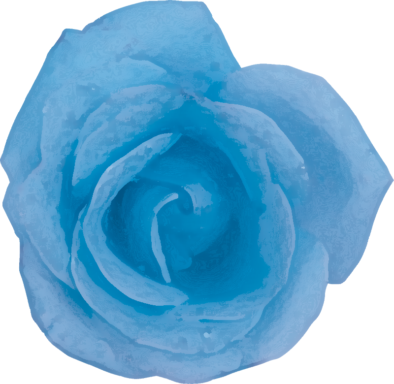 青 薔薇 壁紙詳細 6位