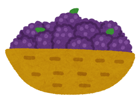 青い ぶどう詳細 4位