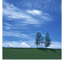 青空 画像 フリー詳細 8位