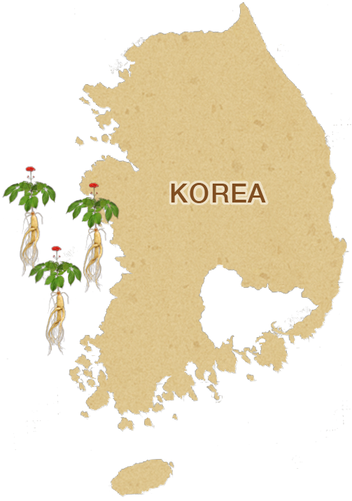 韓国 地図 イラスト詳細 8位