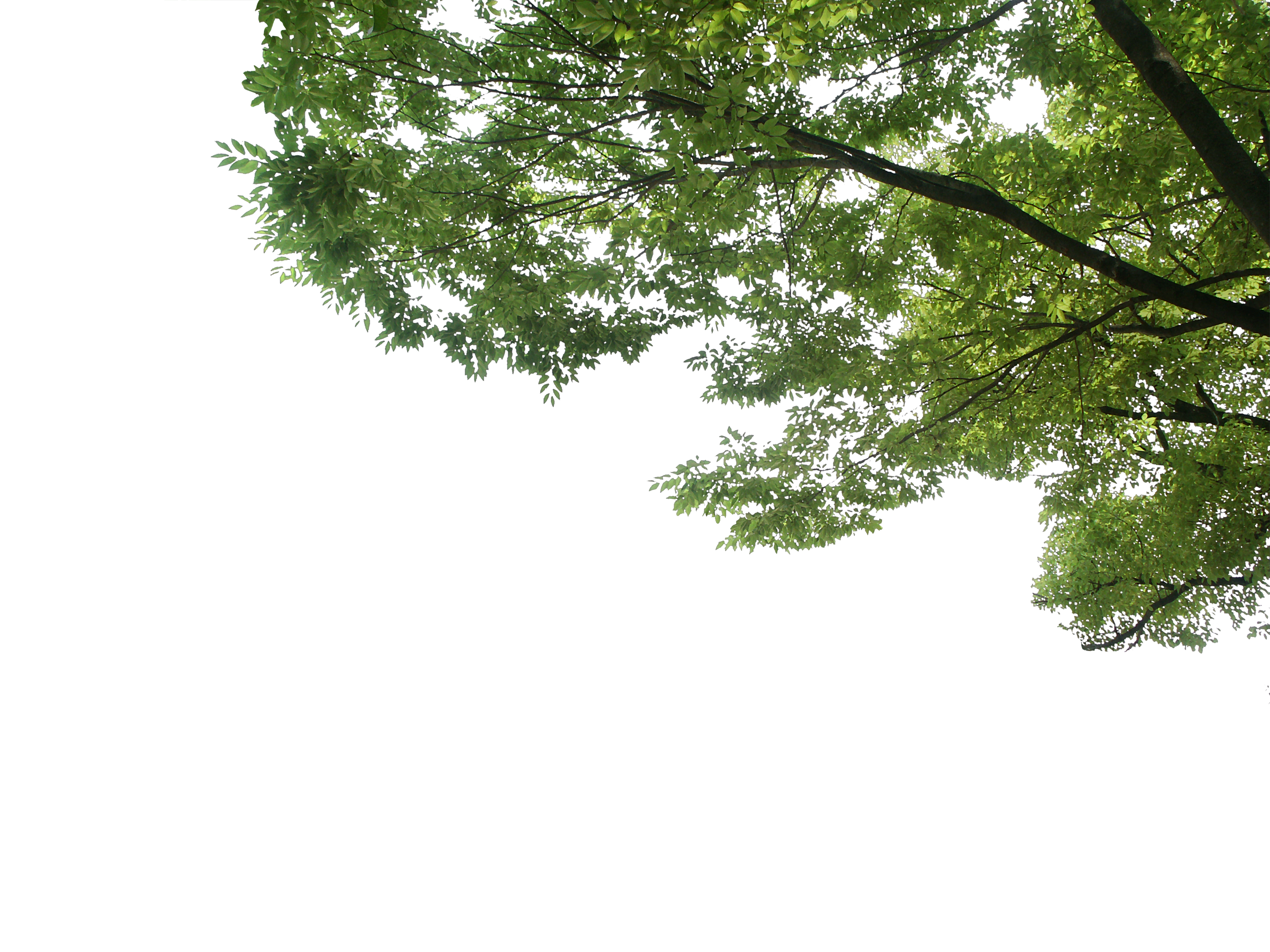 風景 画像 フリー詳細 10位