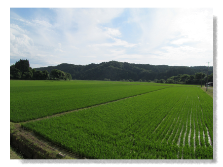 風景 画像 フリー詳細 8位