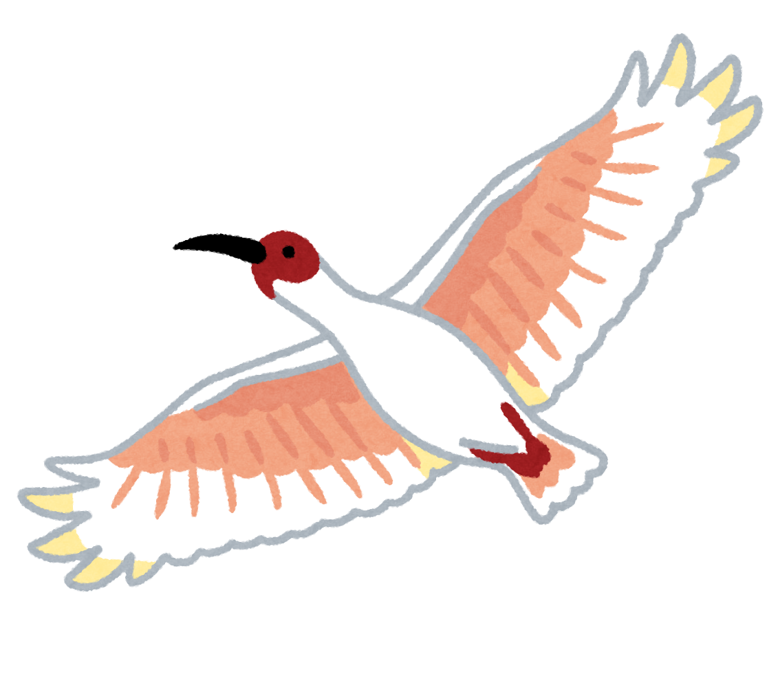 飛ぶ 鳥 イラスト かわいい詳細 3位