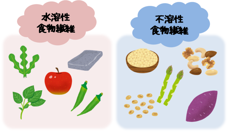 食物 繊維 イラスト詳細 9位