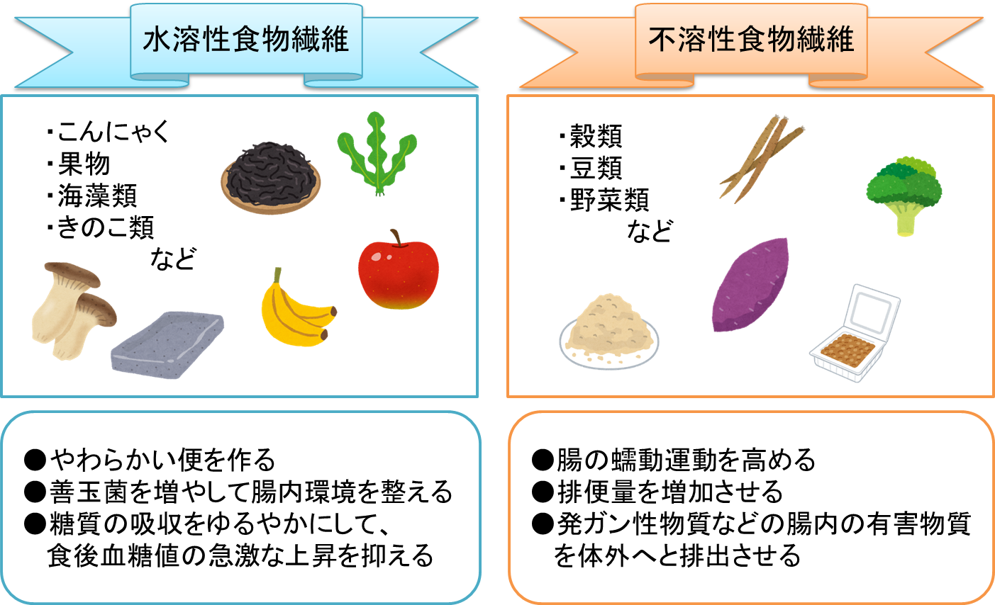 食物 繊維 イラスト詳細 10位