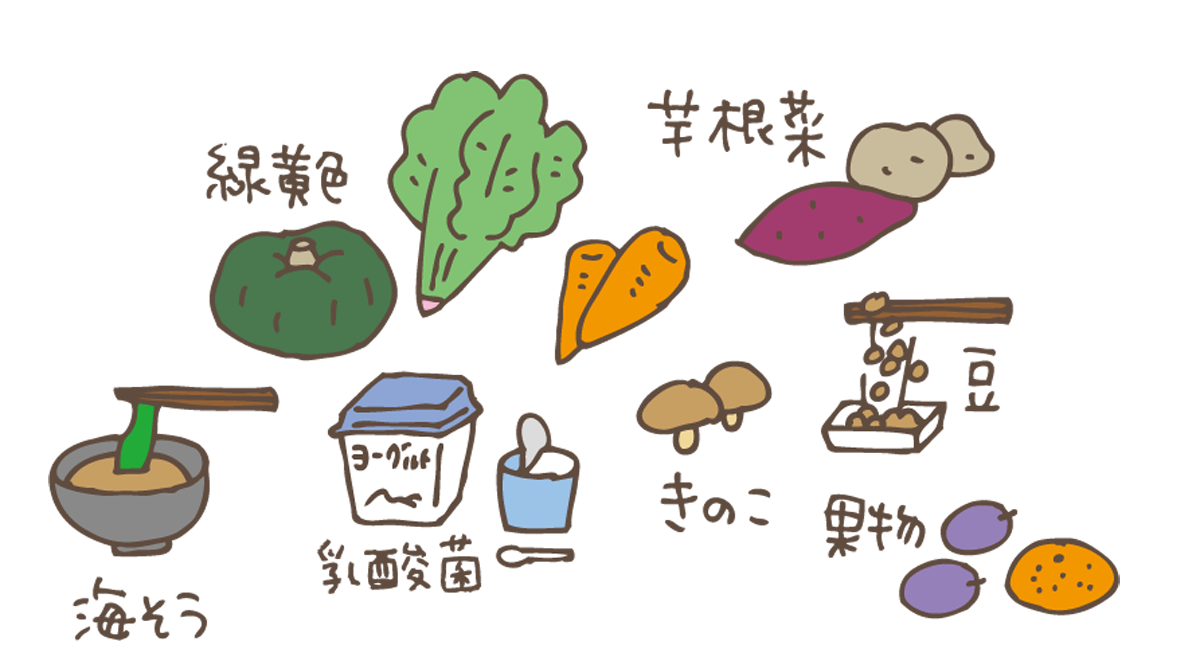 食物 繊維 イラスト詳細 11位