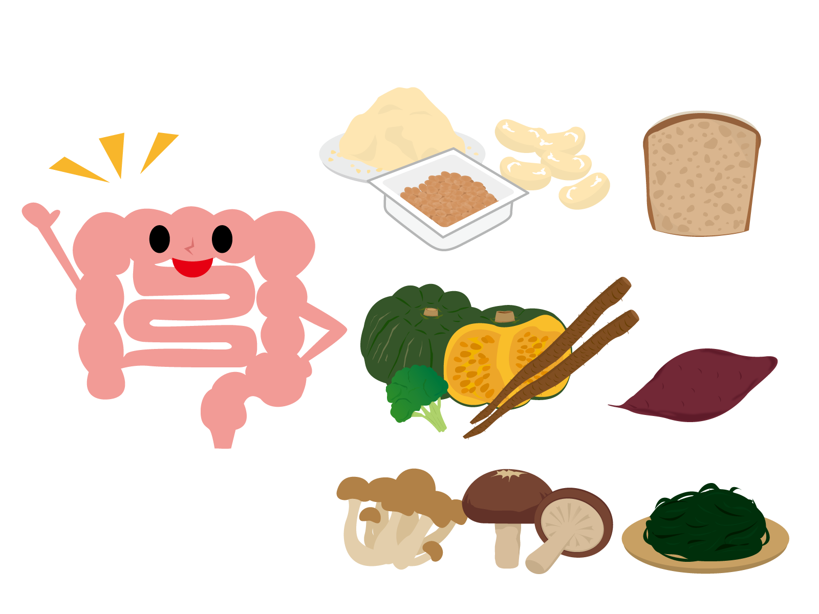 食物 繊維 イラスト詳細 3位