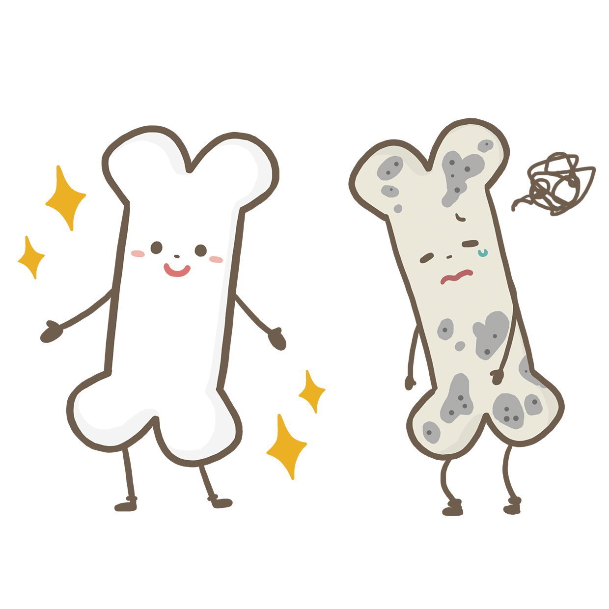 骨 イラスト かわいい詳細 6位