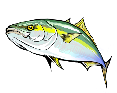 魚 かっこいい イラスト - KibrisPDR