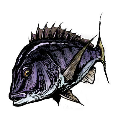 魚 かっこいい イラスト詳細 2位