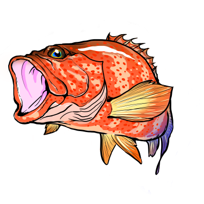 魚 かっこいい イラスト詳細 3位