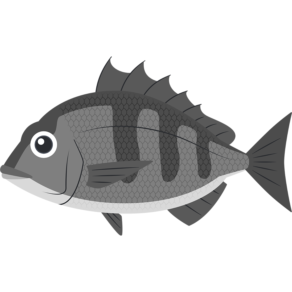 魚 かっこいい イラスト詳細 6位