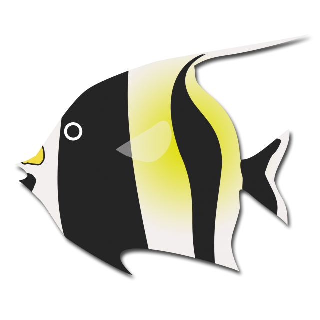 魚 イラスト リアル 簡単詳細 10位