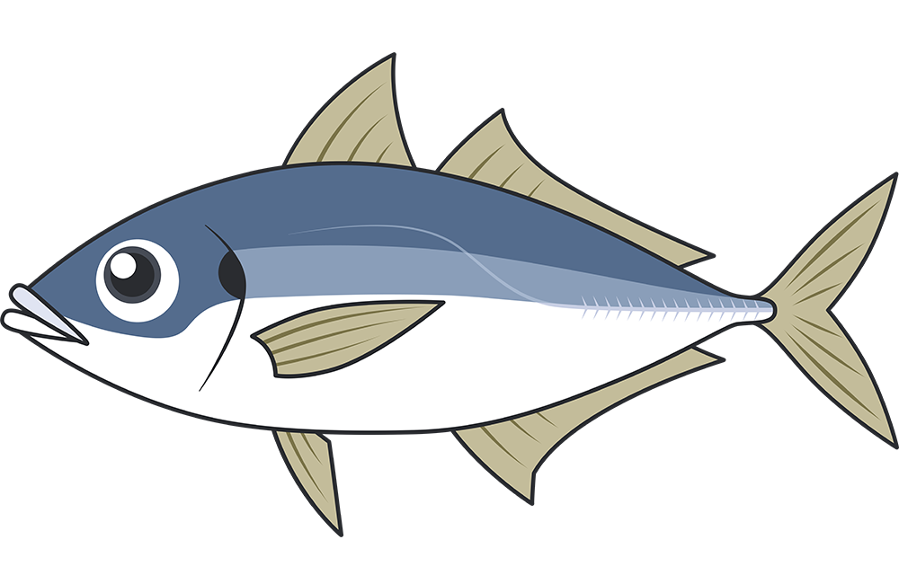 魚 イラスト リアル 簡単詳細 12位