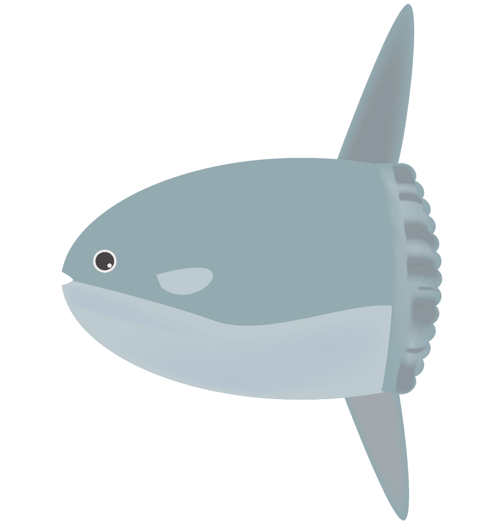 魚 イラスト リアル 簡単詳細 5位
