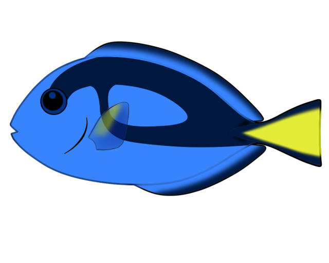 魚 イラスト リアル 簡単詳細 7位