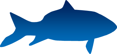 魚 シルエット詳細 9位
