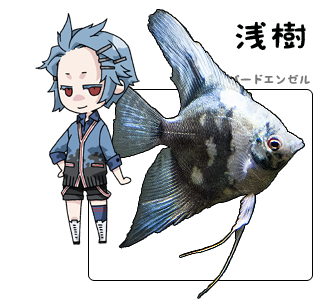 魚 擬人 化 イラスト詳細 3位