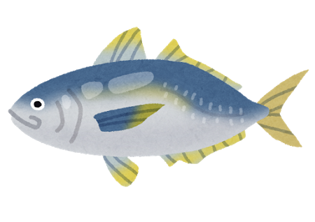 魚 画像詳細 13位
