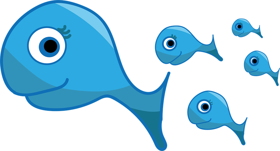 魚 群れ イラスト詳細 11位