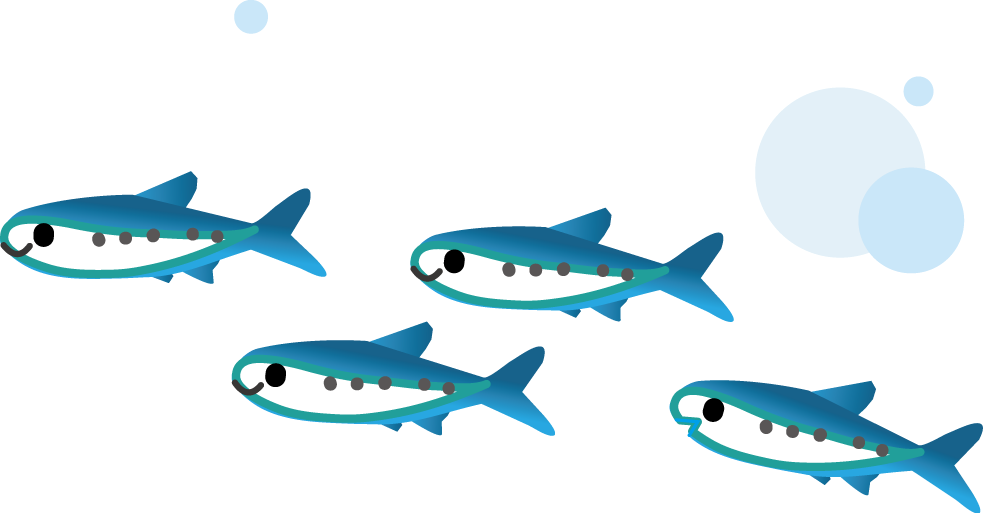 魚 群れ イラスト詳細 2位