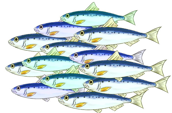 魚 群れ イラスト詳細 3位