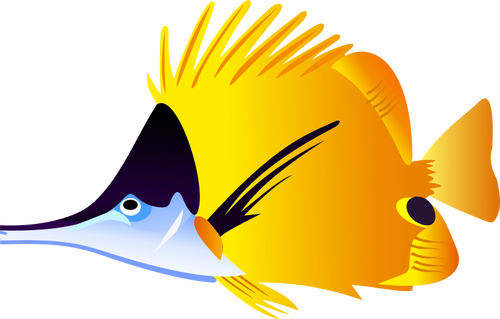 魚 黒 黄色 - KibrisPDR