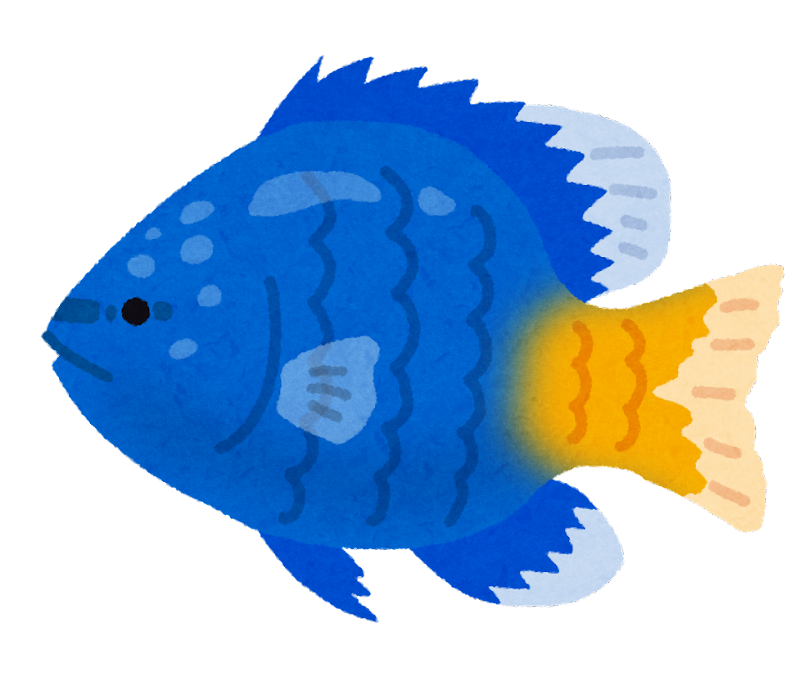 魚の イラスト詳細 7位