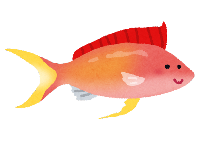 魚の イラスト詳細 8位