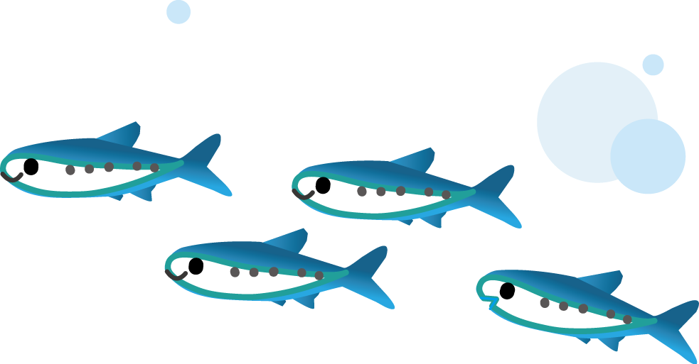 魚の 群れ イラスト - KibrisPDR