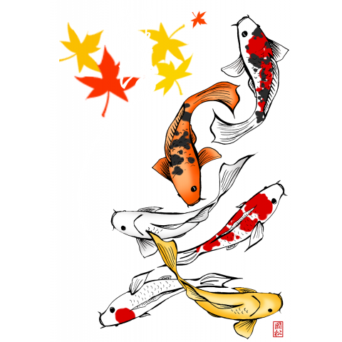 鯉 画像詳細 4位