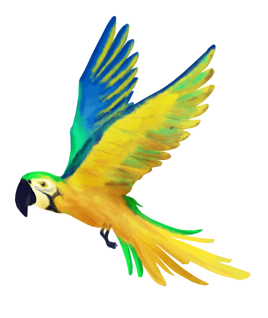 鳥 の 絵詳細 4位