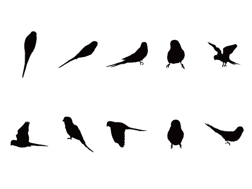 鳥 シルエット 簡単詳細 14位
