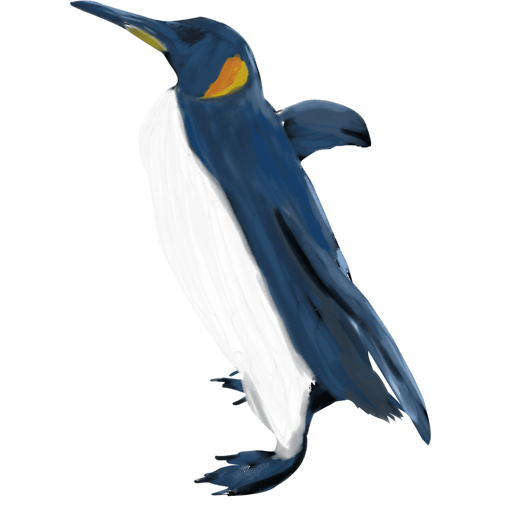 鳥 リアル イラスト詳細 10位