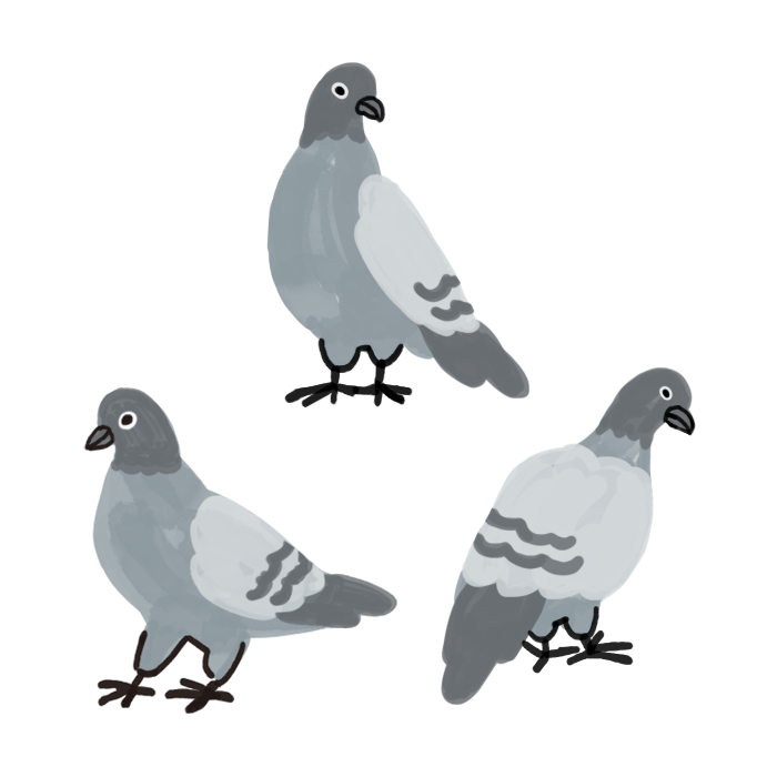 鳩 イラスト おしゃれ - KibrisPDR