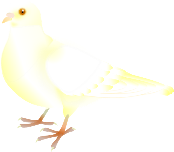 鳩 イラスト おしゃれ詳細 10位