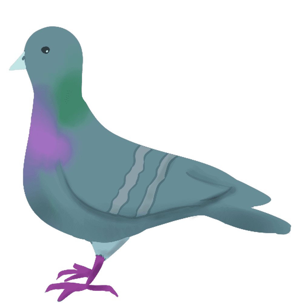 鳩 イラスト おしゃれ詳細 13位