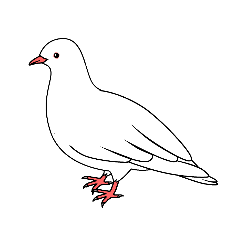 鳩 イラスト おしゃれ詳細 9位