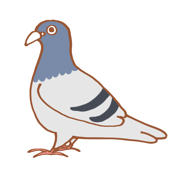 鳩 簡単 イラスト詳細 3位