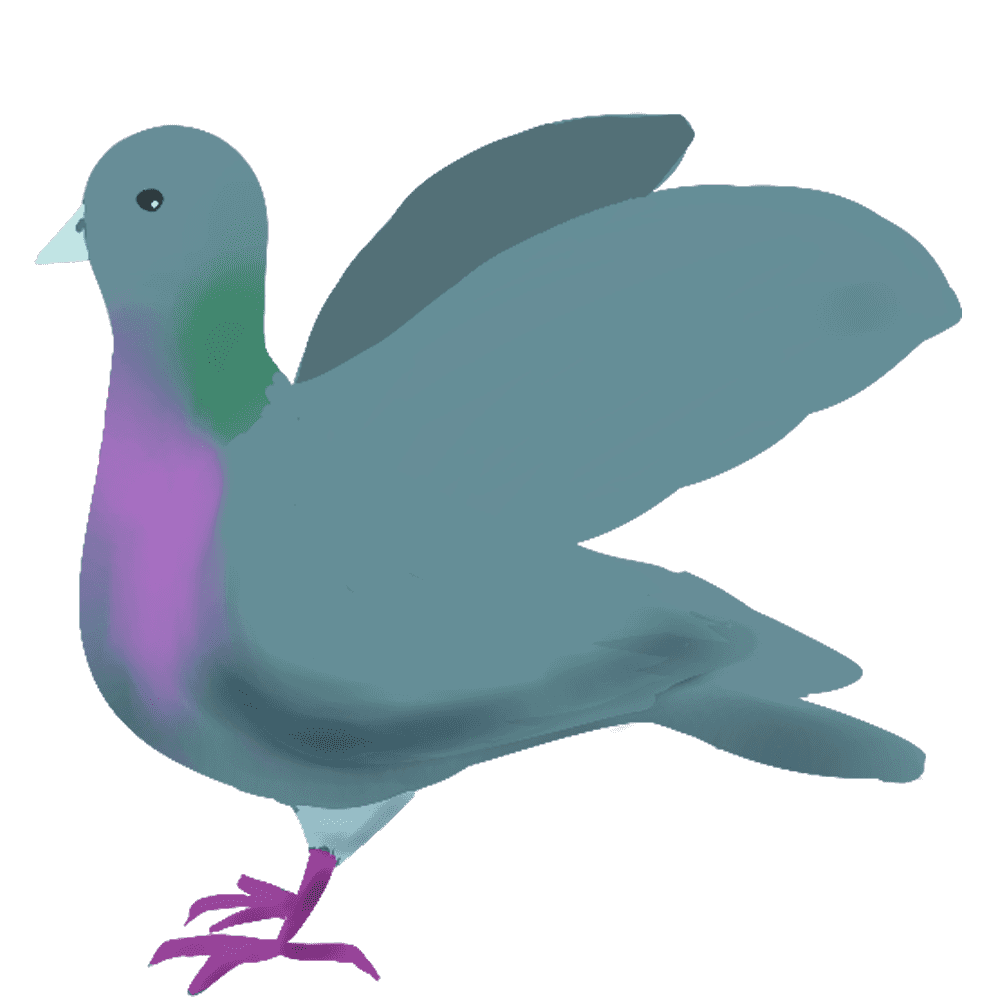 鳩 簡単 イラスト詳細 4位